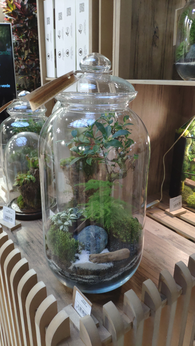 MyPlant Terrarium
