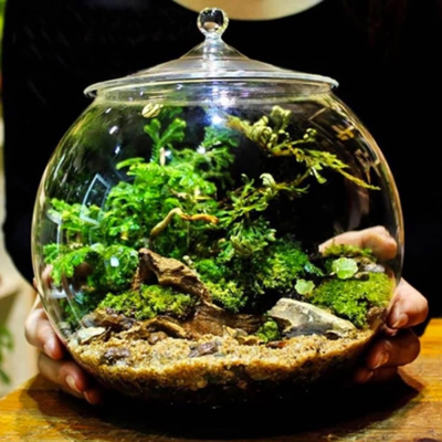 TerraRiosso