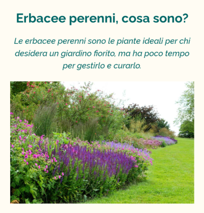 Erbicino